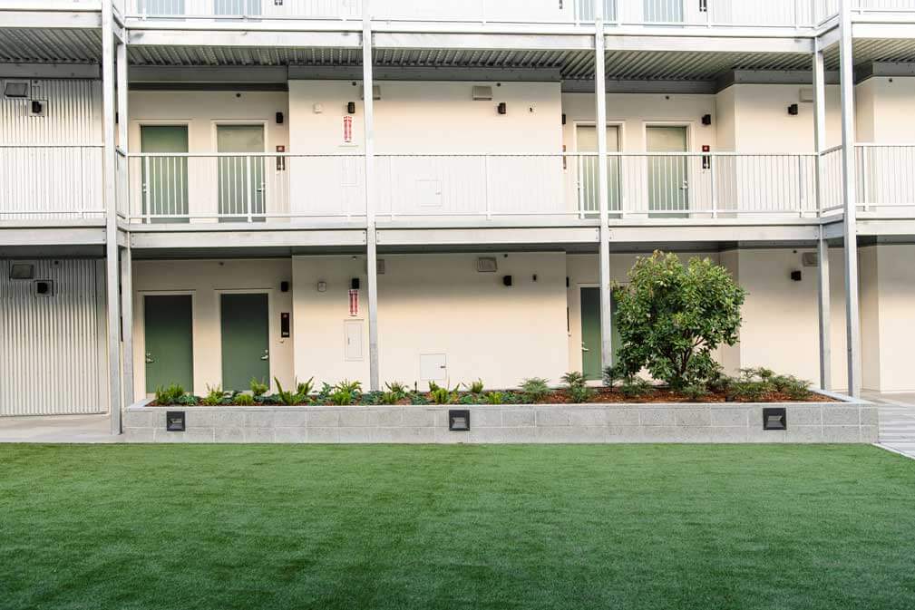 K&D Landscaping commercial landscape planter with ornamental tree and groundcover plantings
