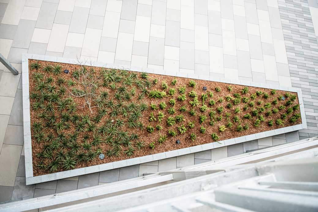 K&D Landscaping decorative drainage planter with river rock and vertical plantings