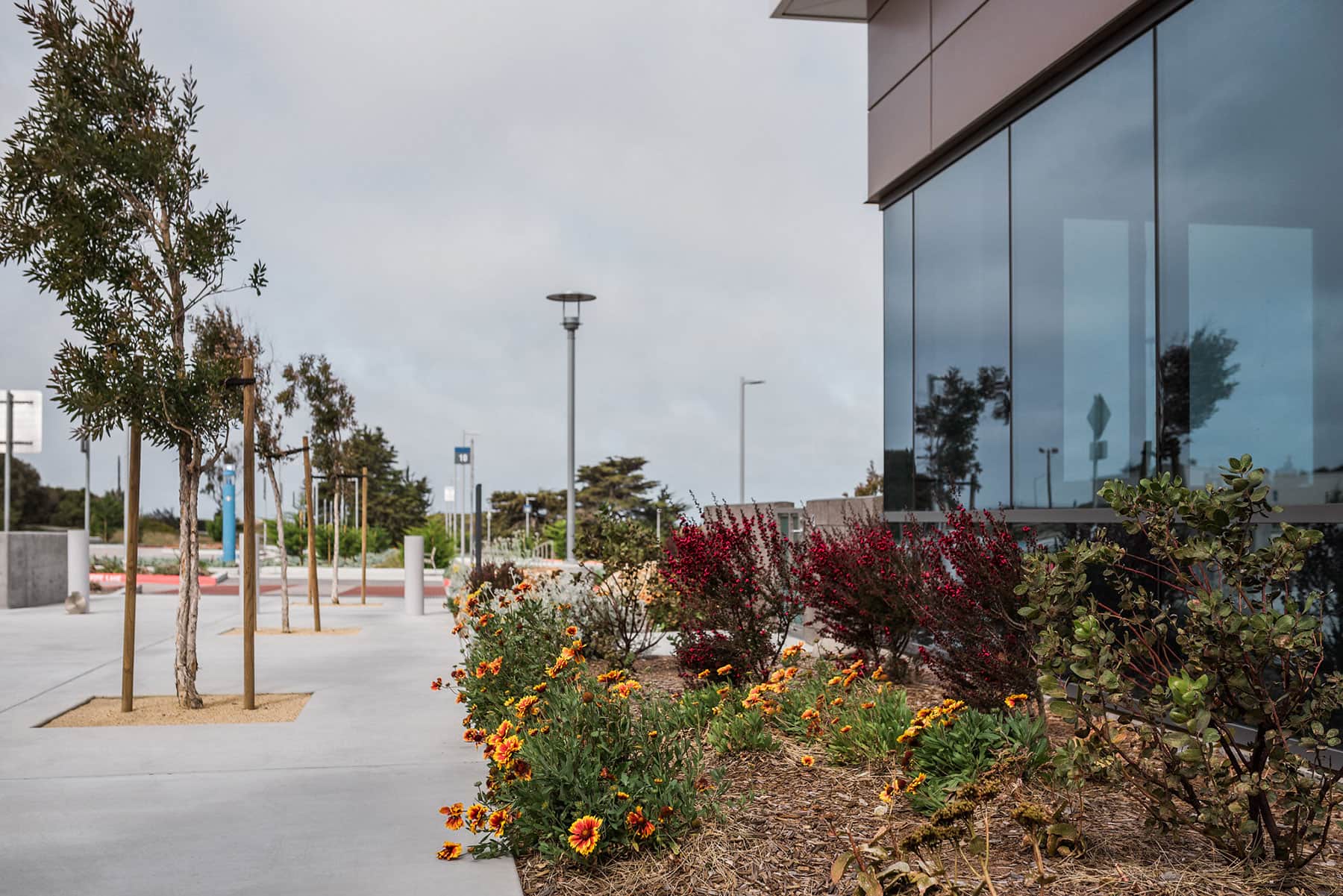 K&D Landscaping expansive outdoor courtyard with mature cedar trees, dining tables, and comprehensive native landscape design