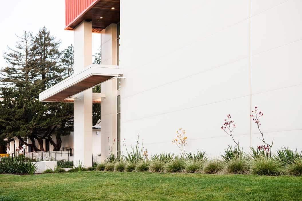 K&D Landscaping kangaroo paw and ornamental grasses lining a modern building wall with lawn