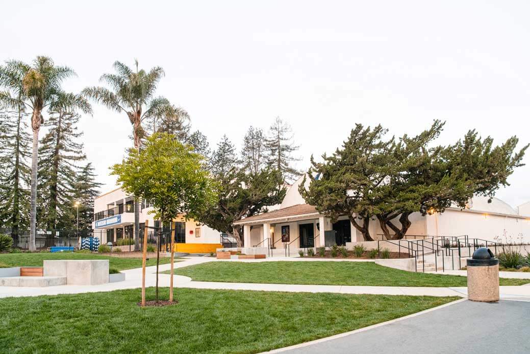 K&D Landscaping landscaped campus quad with lawn, palms and a tree-shaded building entrance