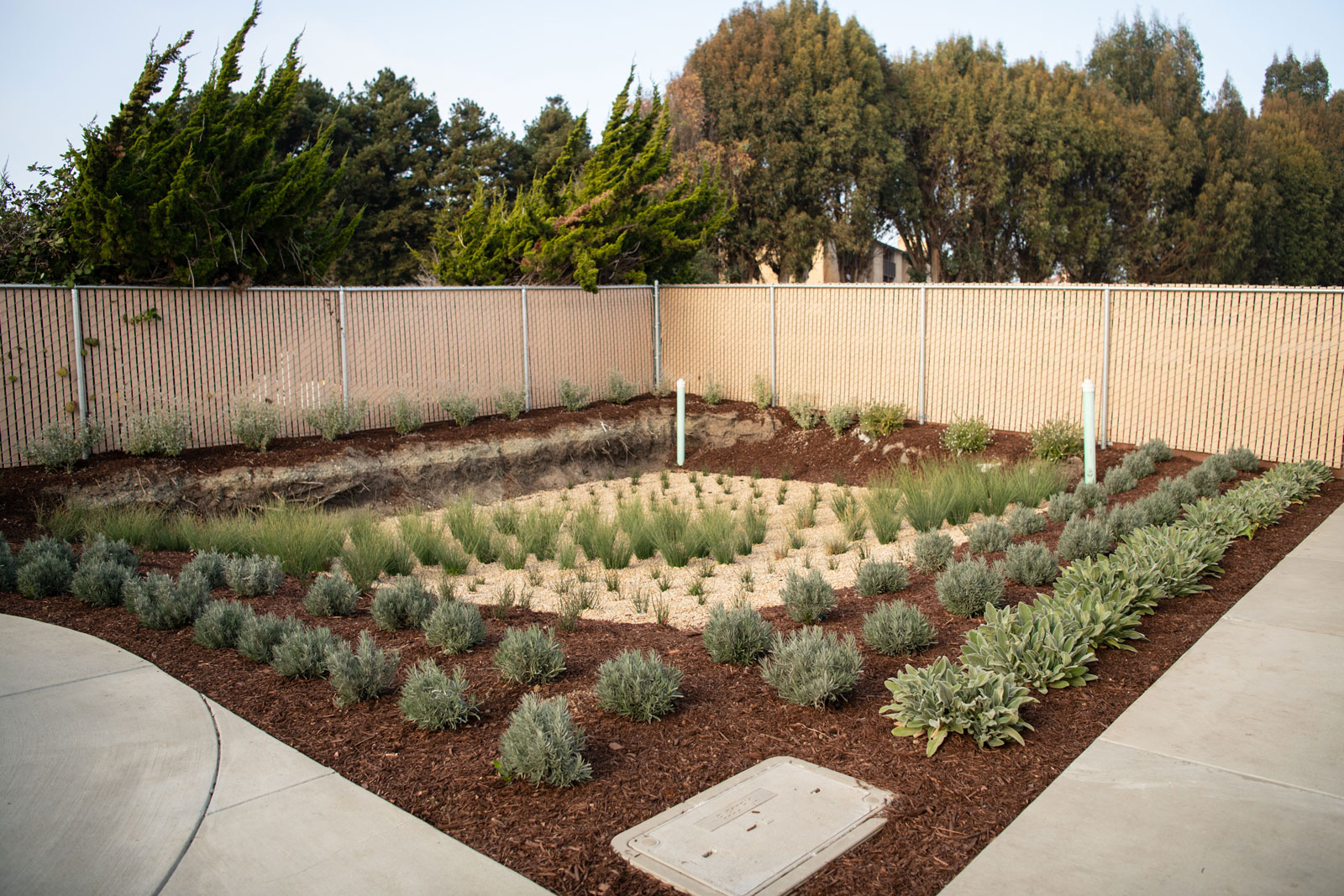 K&D Landscaping linear planting installation along fenced perimeter with ornamental grasses and groundcover
