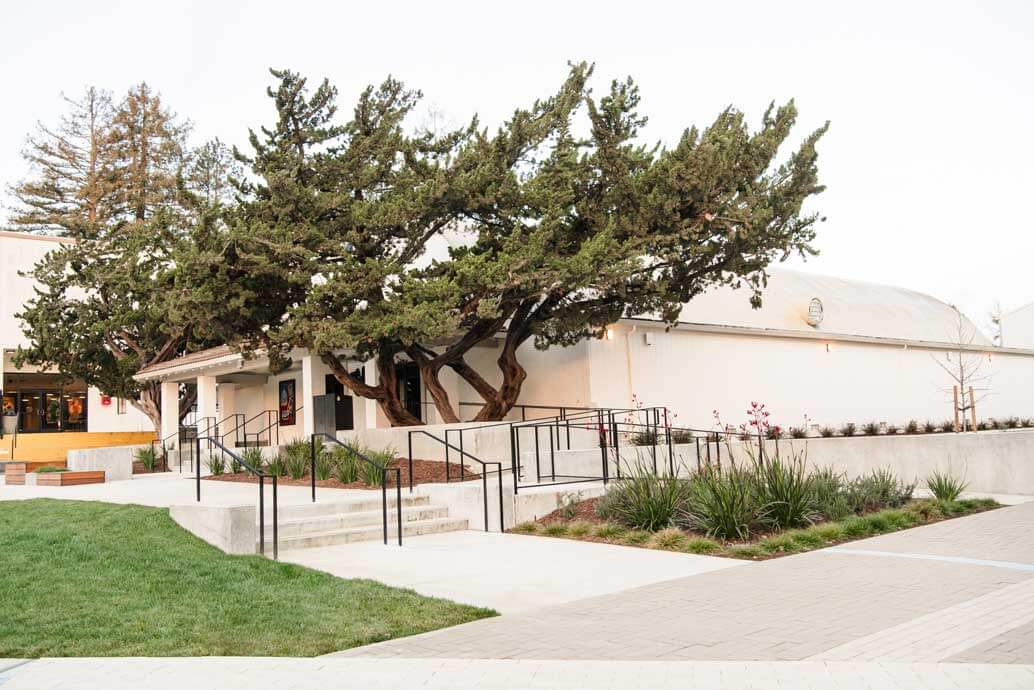 K&D Landscaping mature junipers and accessible ramps beside a campus building with fresh plantings