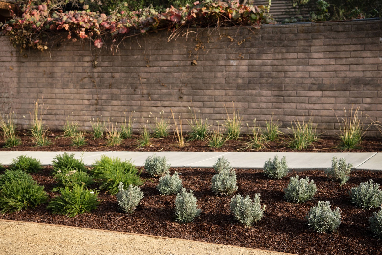 K&D Landscaping mixed ornamental shrub planting with mulch bed and metal fence background