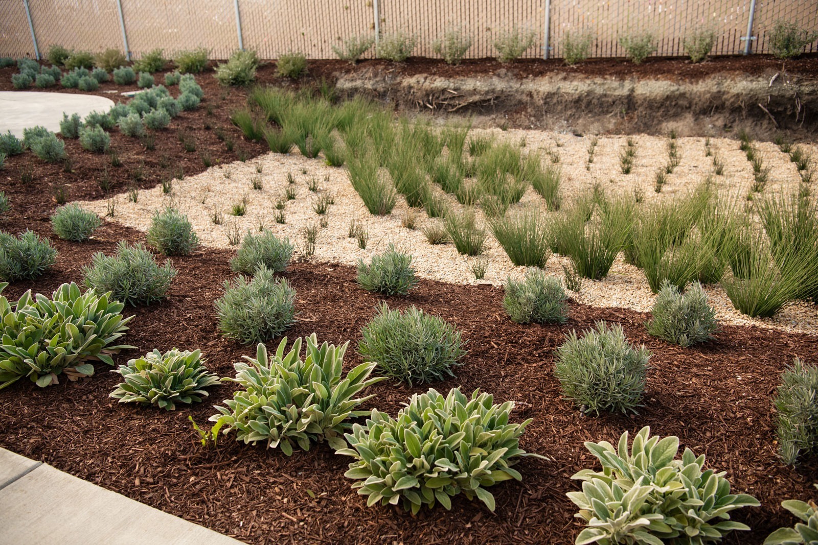 K&D Landscaping multi-level landscape design featuring concrete pathways, mulch beds, and drought-tolerant plantings