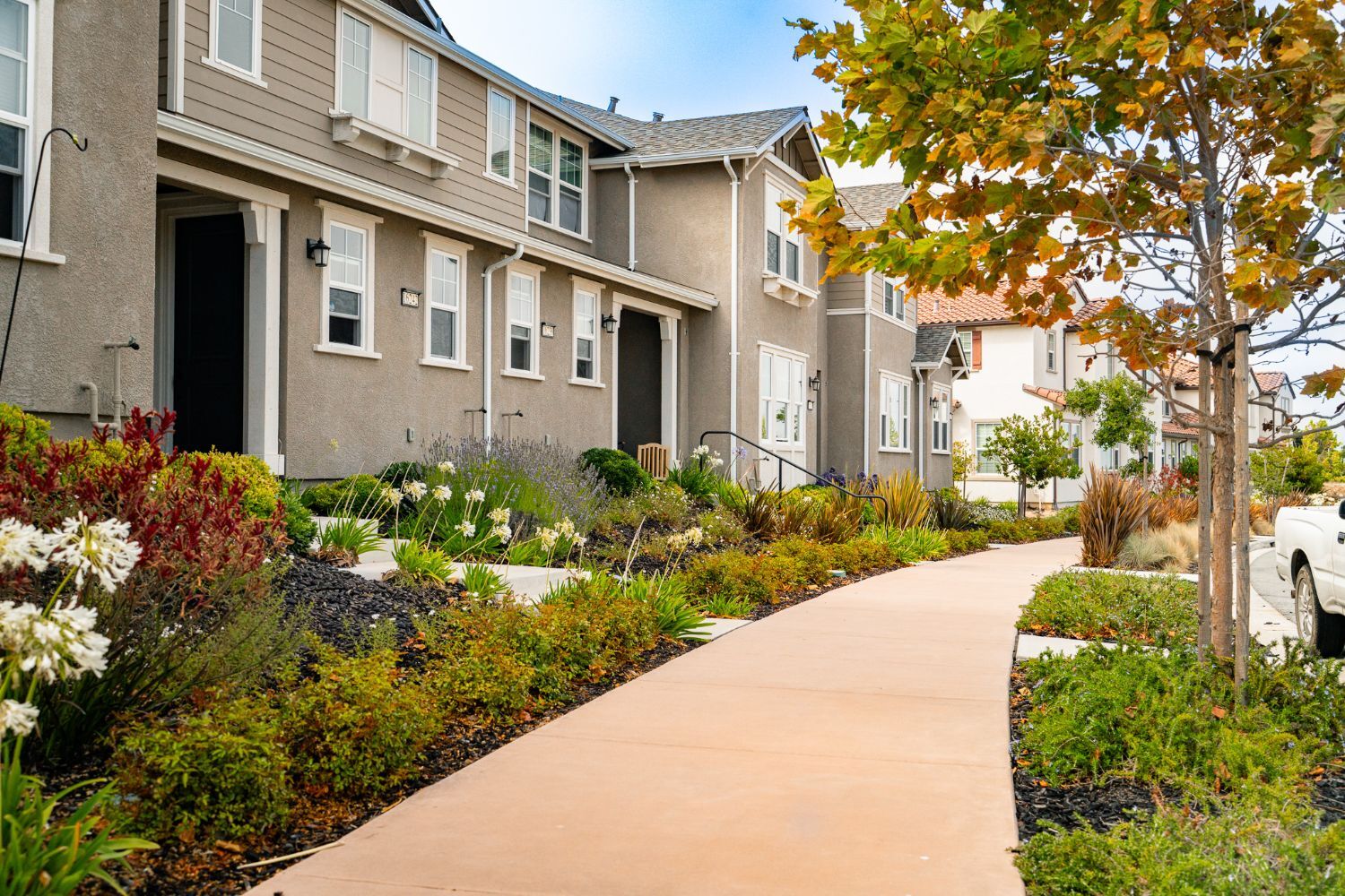 K&D Landscaping neighborhood sidewalk landscaping with flowering plants shrubs and residential landscape maintenance