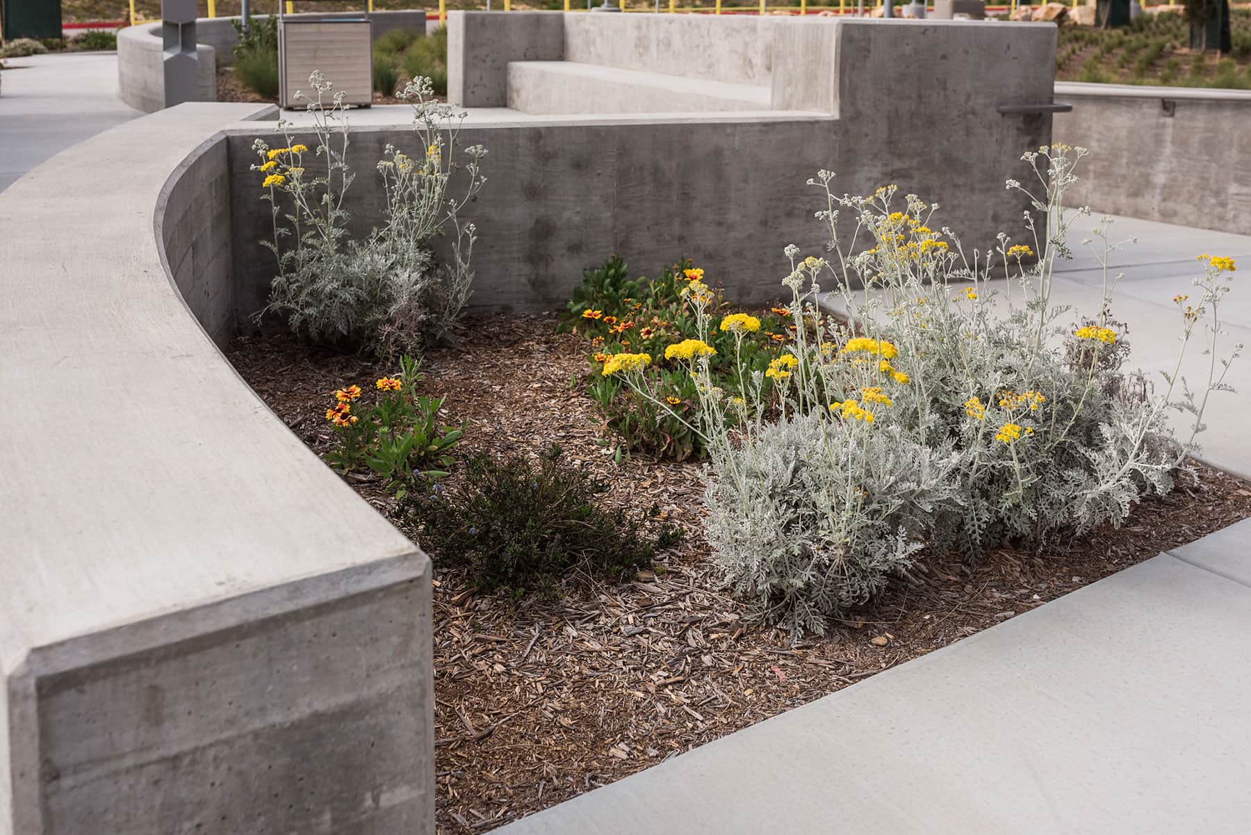 K&D Landscaping outdoor courtyard with mature shade trees, wooden benches, and native landscape planting beds