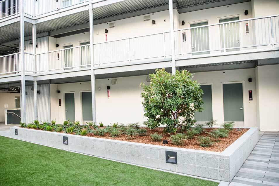 K&D Landscaping raised planter bed with ornamental tree and commercial landscape design