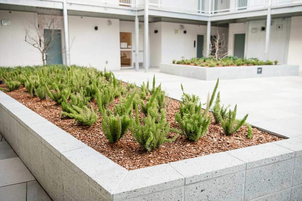 K&D Landscaping raised planter with low maintenance shrubs in multifamily housing courtyard