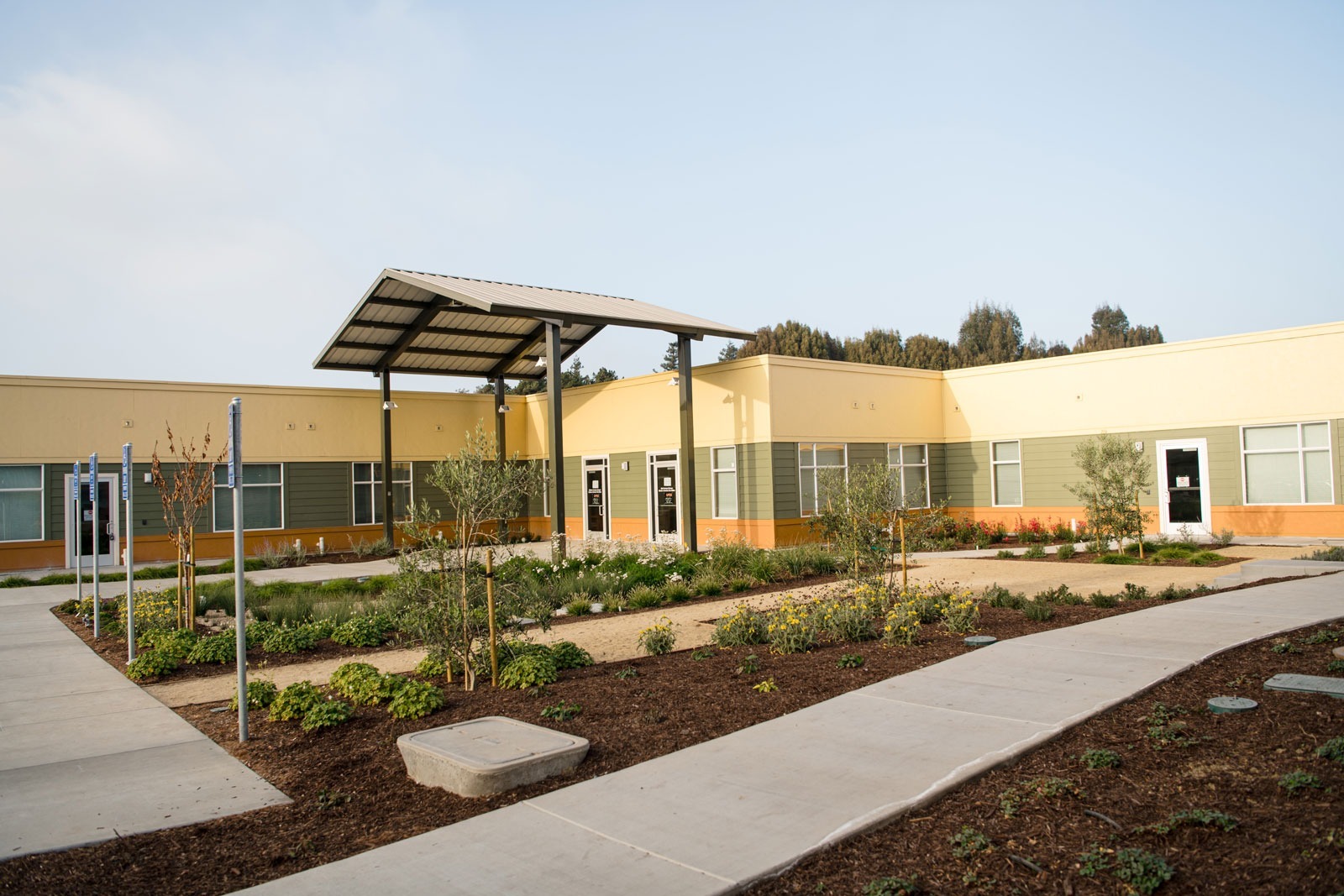 K&D Landscaping side courtyard landscape featuring metal pergola, ornamental grasses, and mulched planting areas