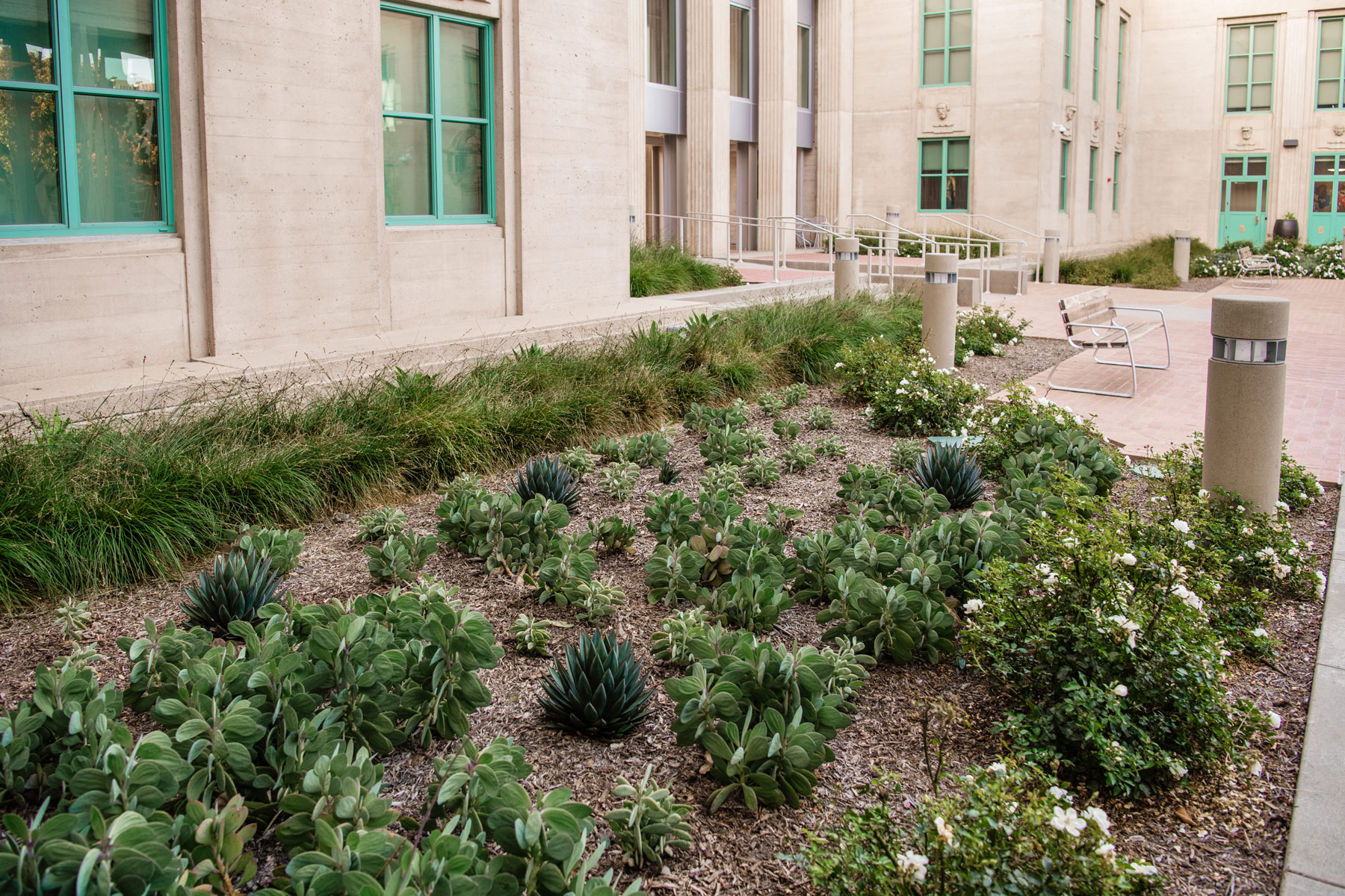 Landscape management services for commercial properties by K&D Landscaping