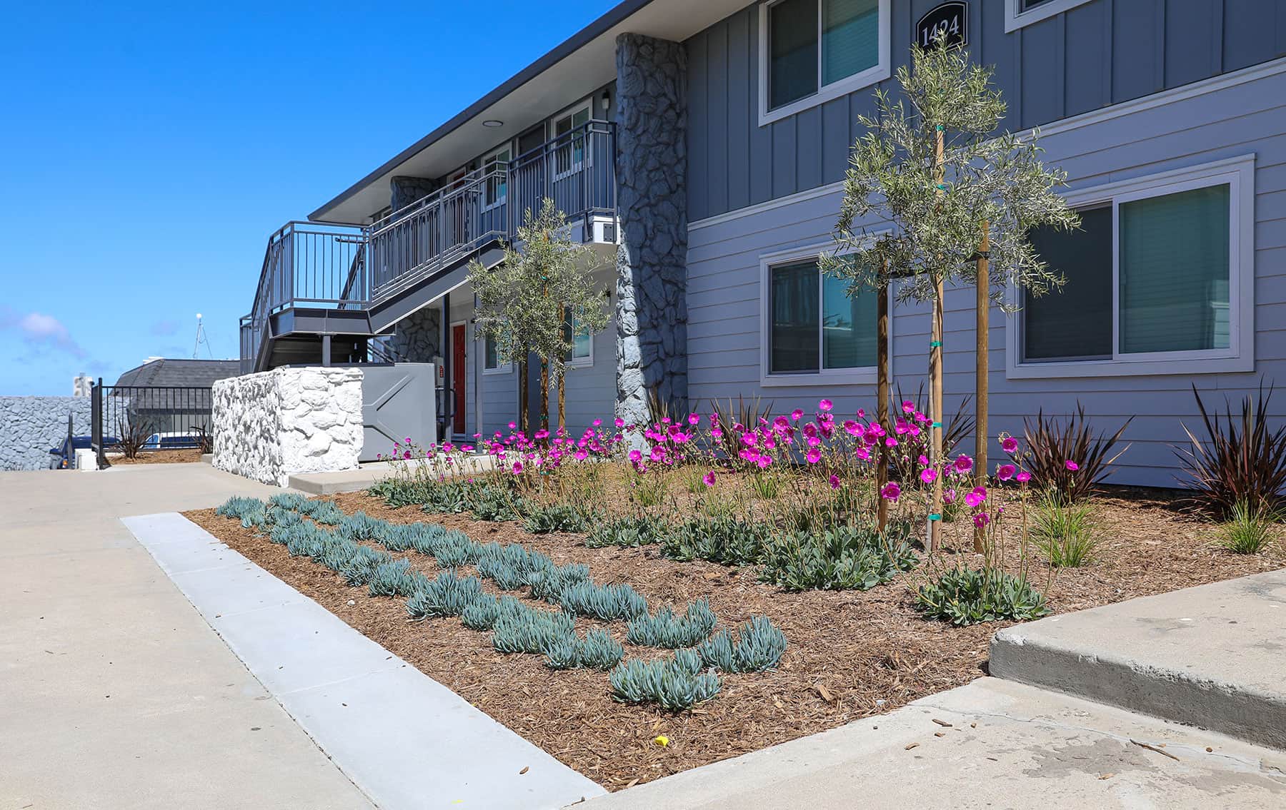 Landscape renovation project surrounding residential apartment buildings by K&D Landscaping