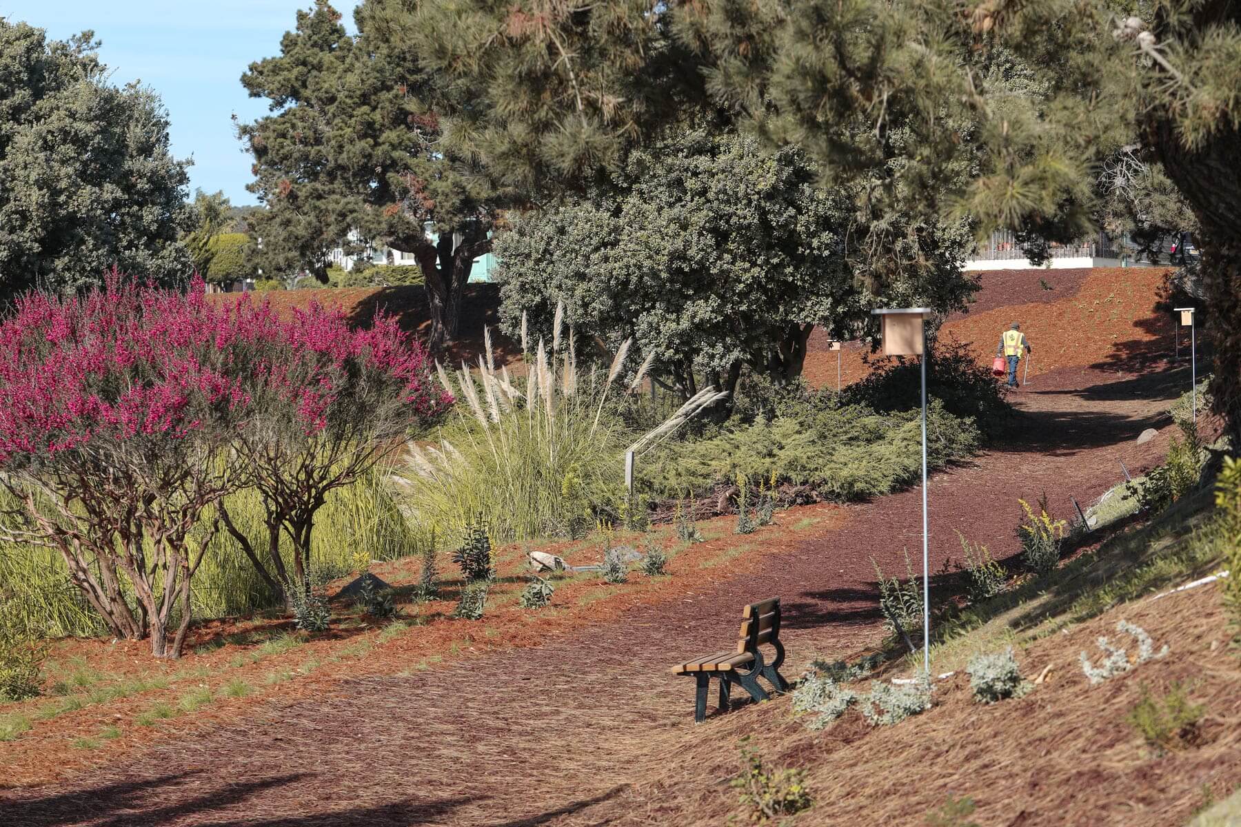 Landscaped park pathway winding through native vegetation by K&D Landscaping