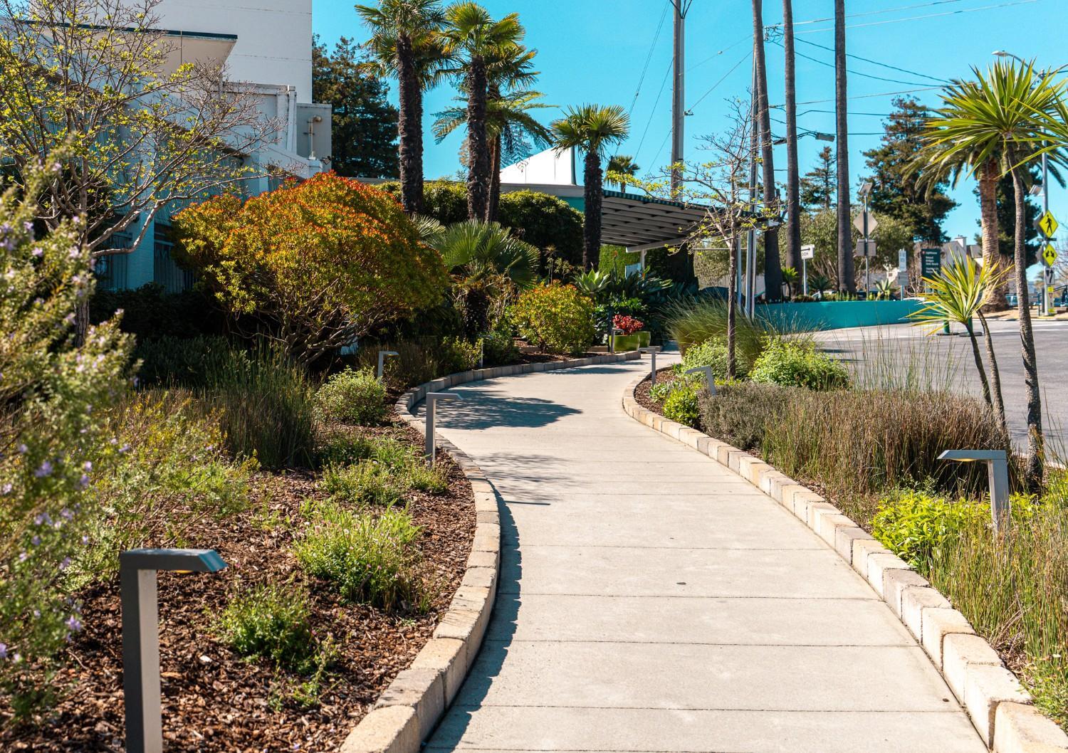 Landscaped pathway with palm trees and drought-tolerant planting design maintained by K&D Landscaping