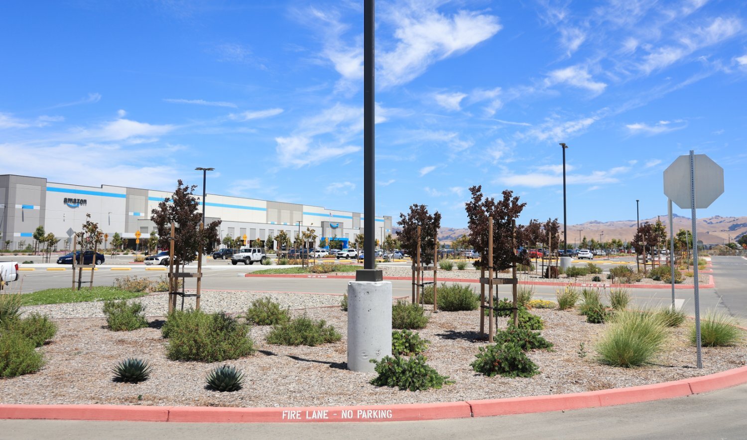 Large commercial site landscaped by K&D Landscaping with irrigation and finish details