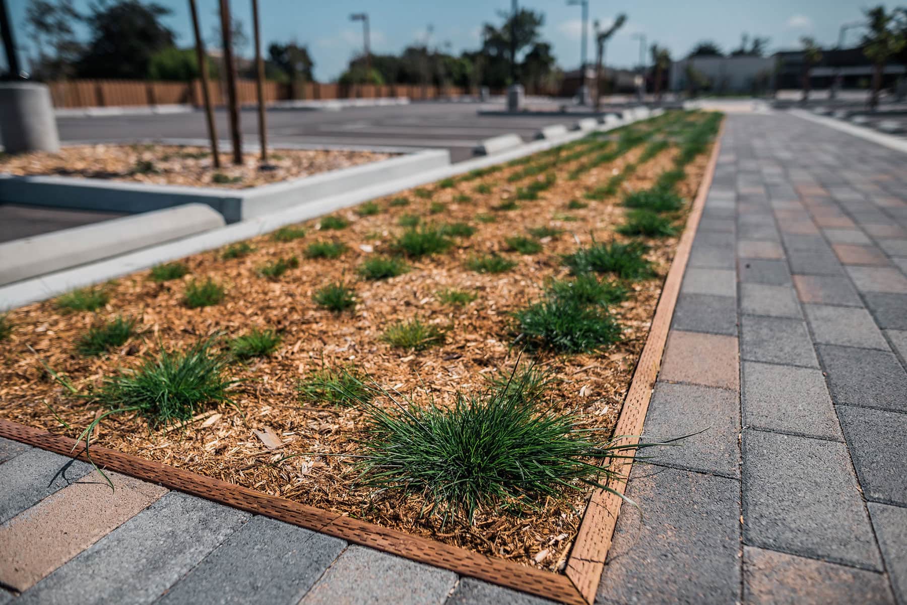 Low-water native plantings with decorative mulch landscape beds in front of commercial medical building by K&D Landscaping