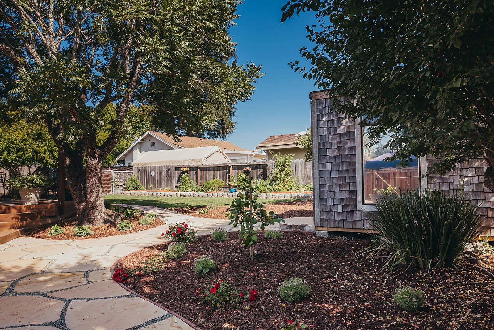 Modern backyard landscape with wood outbuilding, curved stone pathway, mature tree, and contemporary planting beds by K&D Landscaping