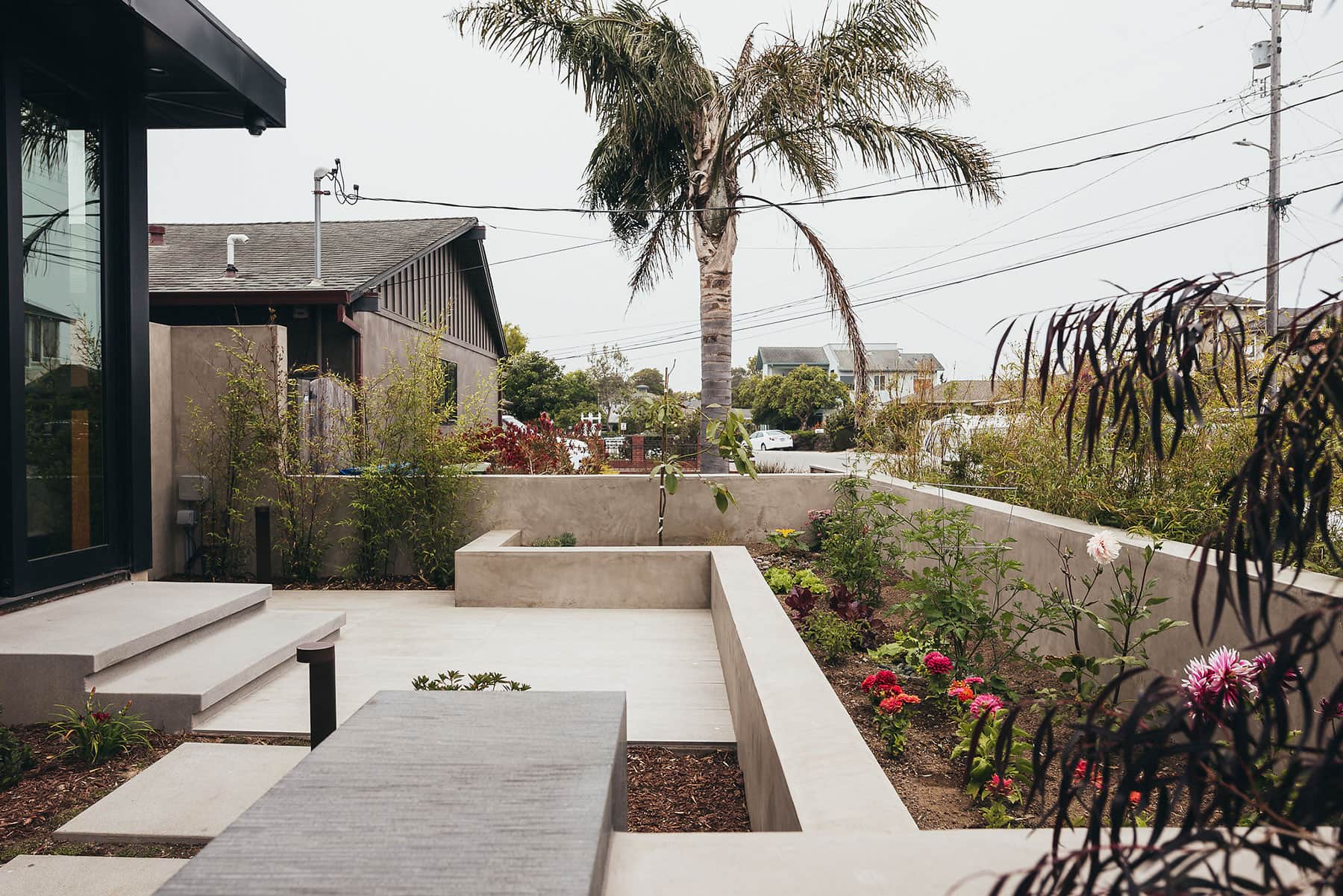 Modern coastal landscape design featuring concrete raised planting beds, palm tree, and contemporary outdoor living space by K&D Landscaping