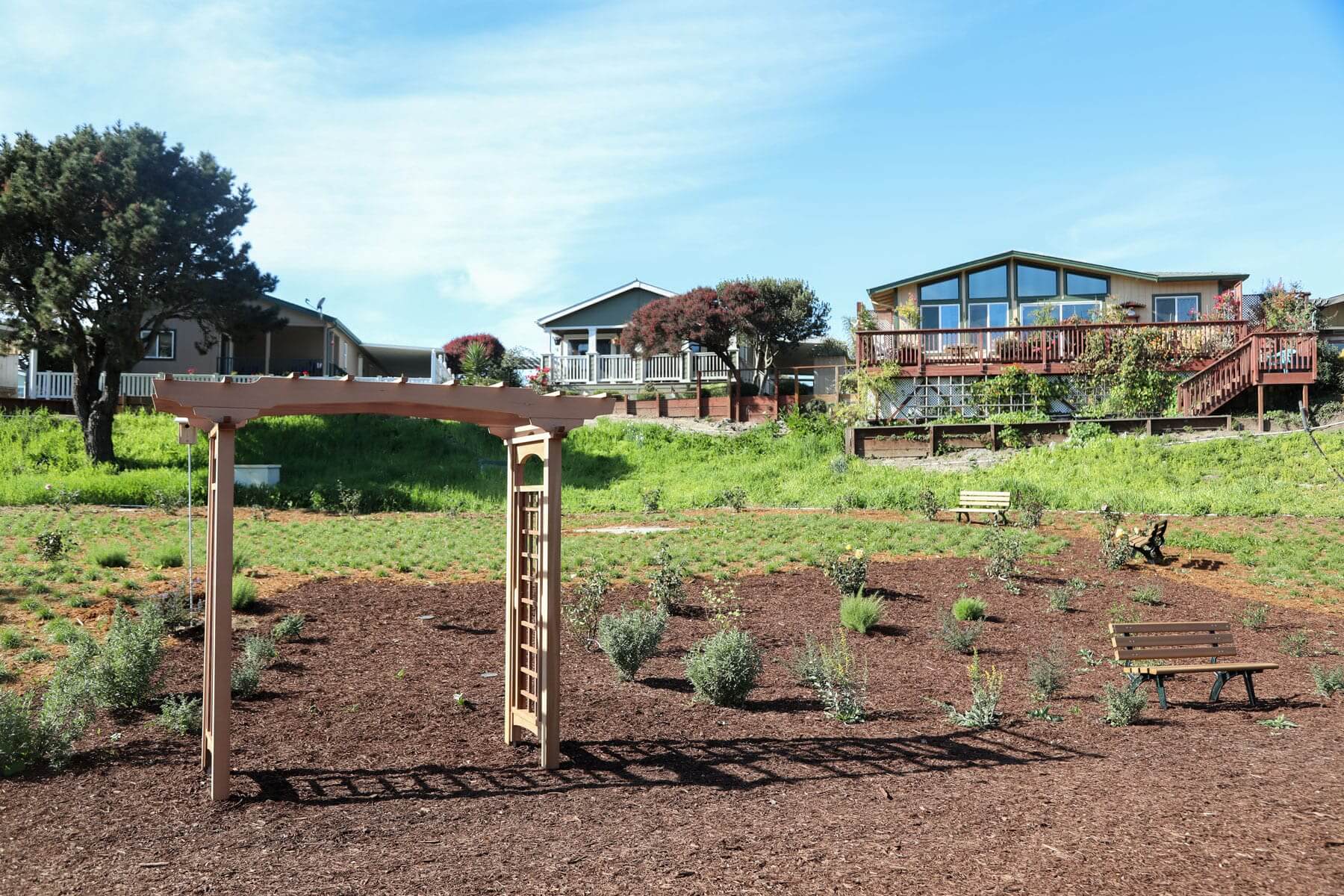 Natural park landscape with enhanced pedestrian pathways by K&D Landscaping