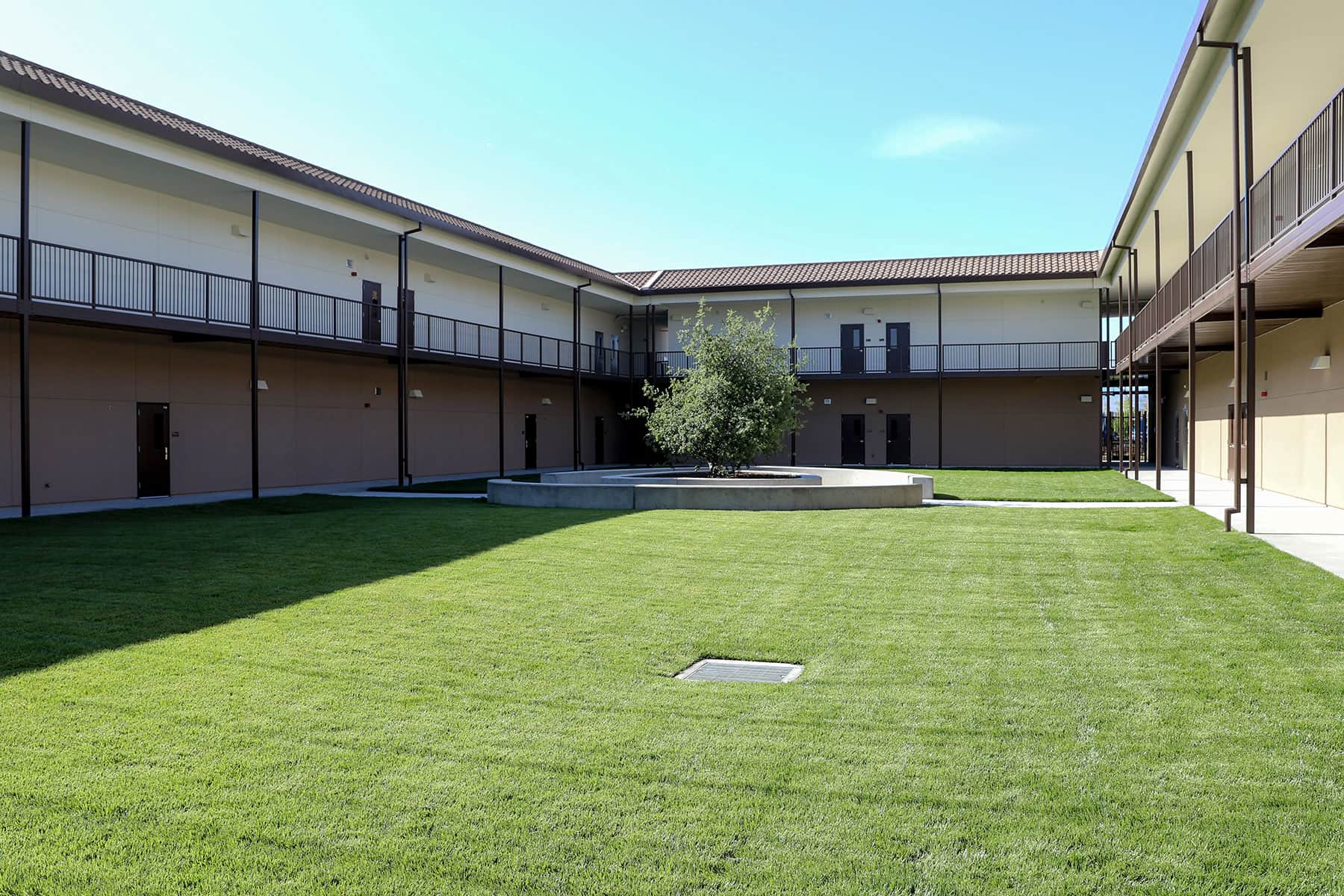 Newly installed campus landscaping surrounding educational buildings by K&D Landscaping