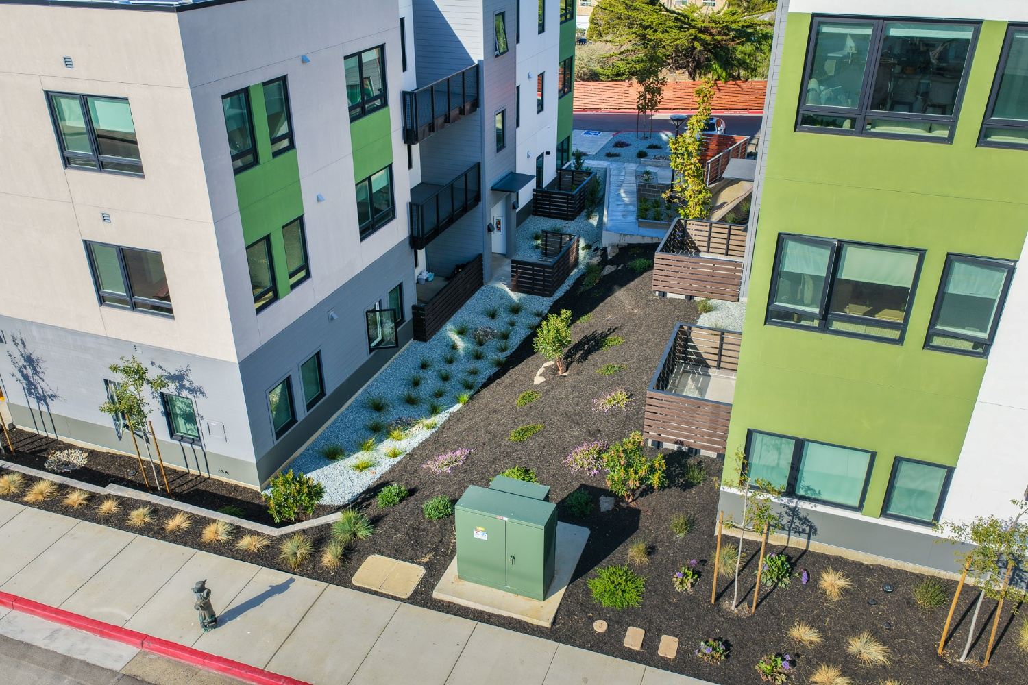 Newly planted apartment community landscape designed for resident use by K&D Landscaping