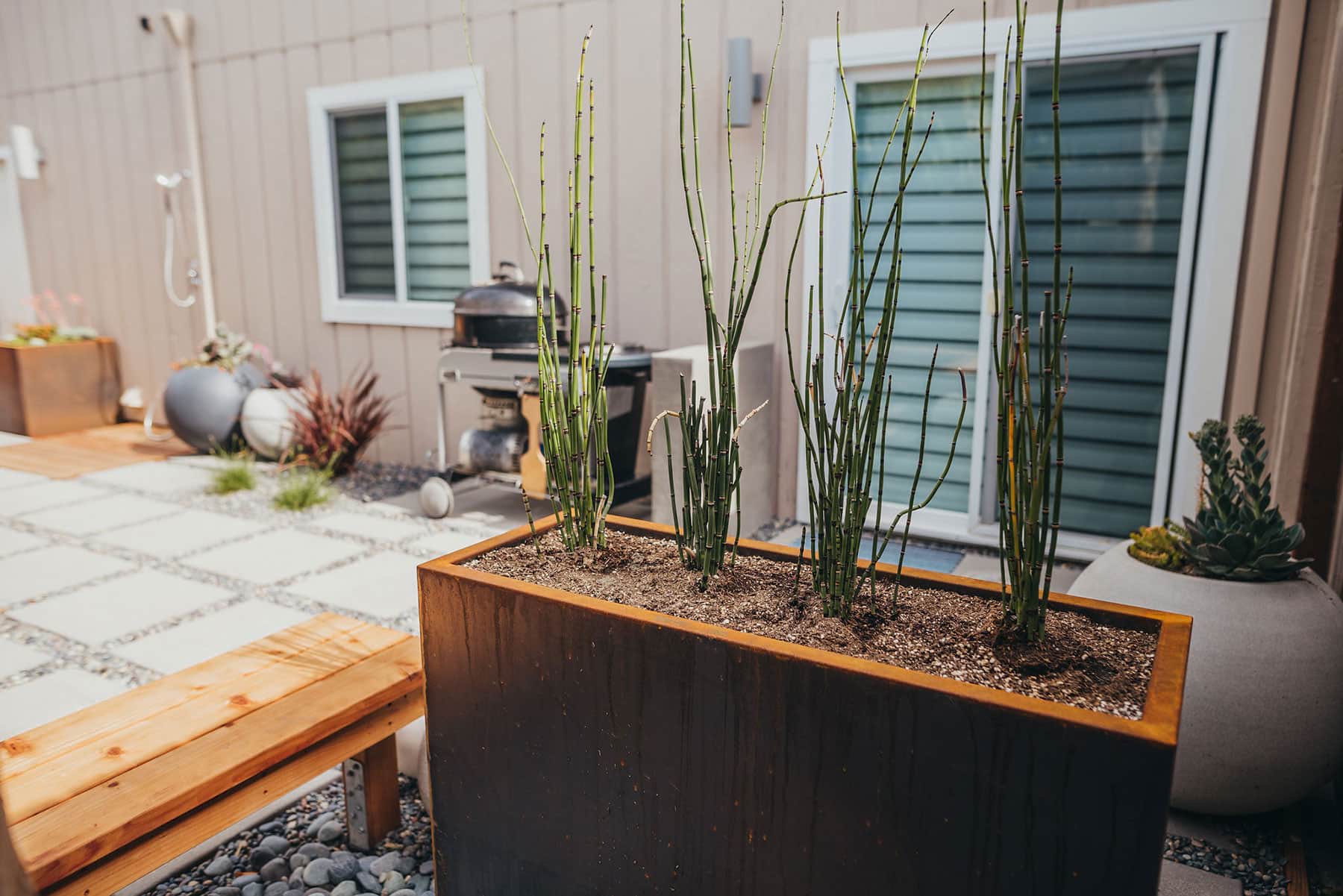 Ornamental grass planter detail with tall spike dracaena, concrete pathway, redwood bench, white sphere planters, and modern residential landscaping completed by K&D Landscaping