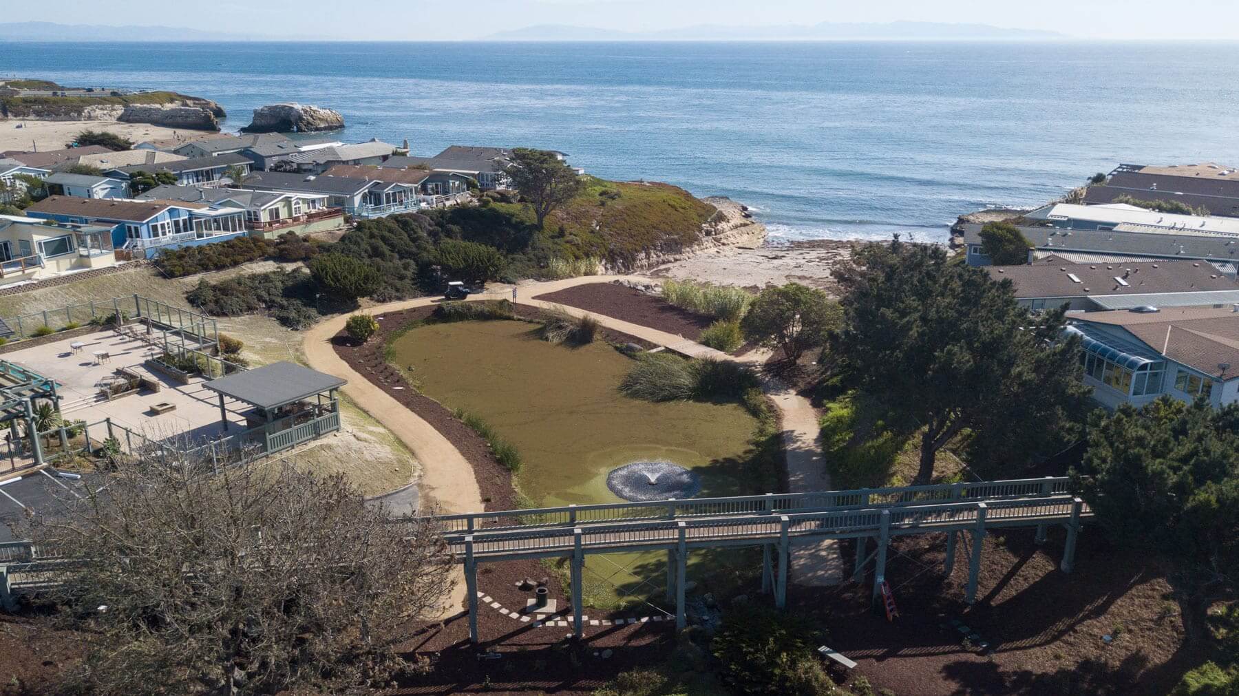 Park landscape showcasing drought-tolerant plantings and pathways by K&D Landscaping