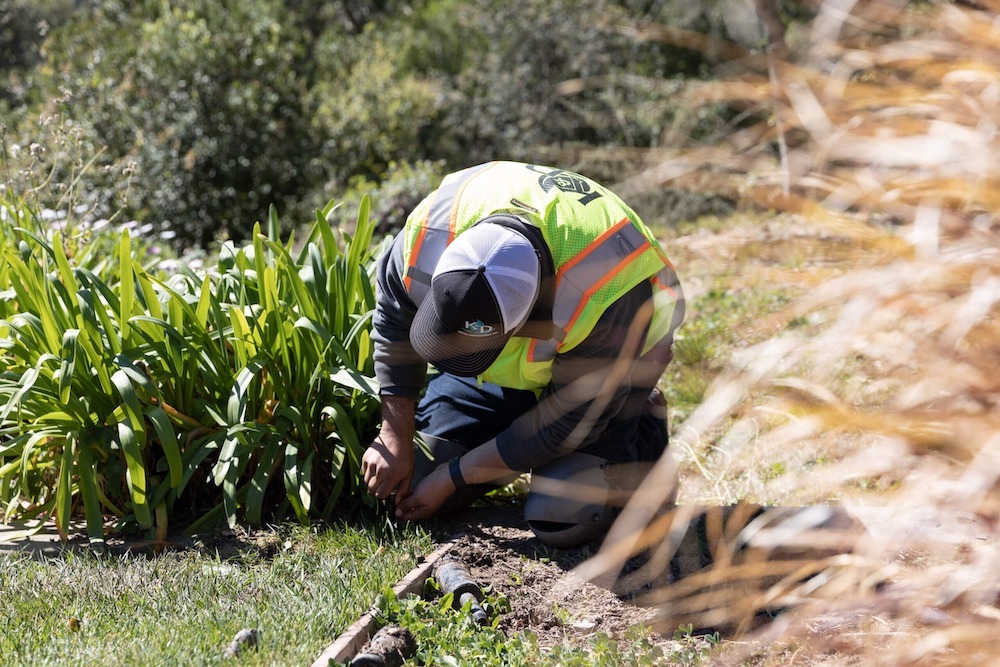Professionally maintained commercial landscape supported by strategic water management by K&D Landscaping