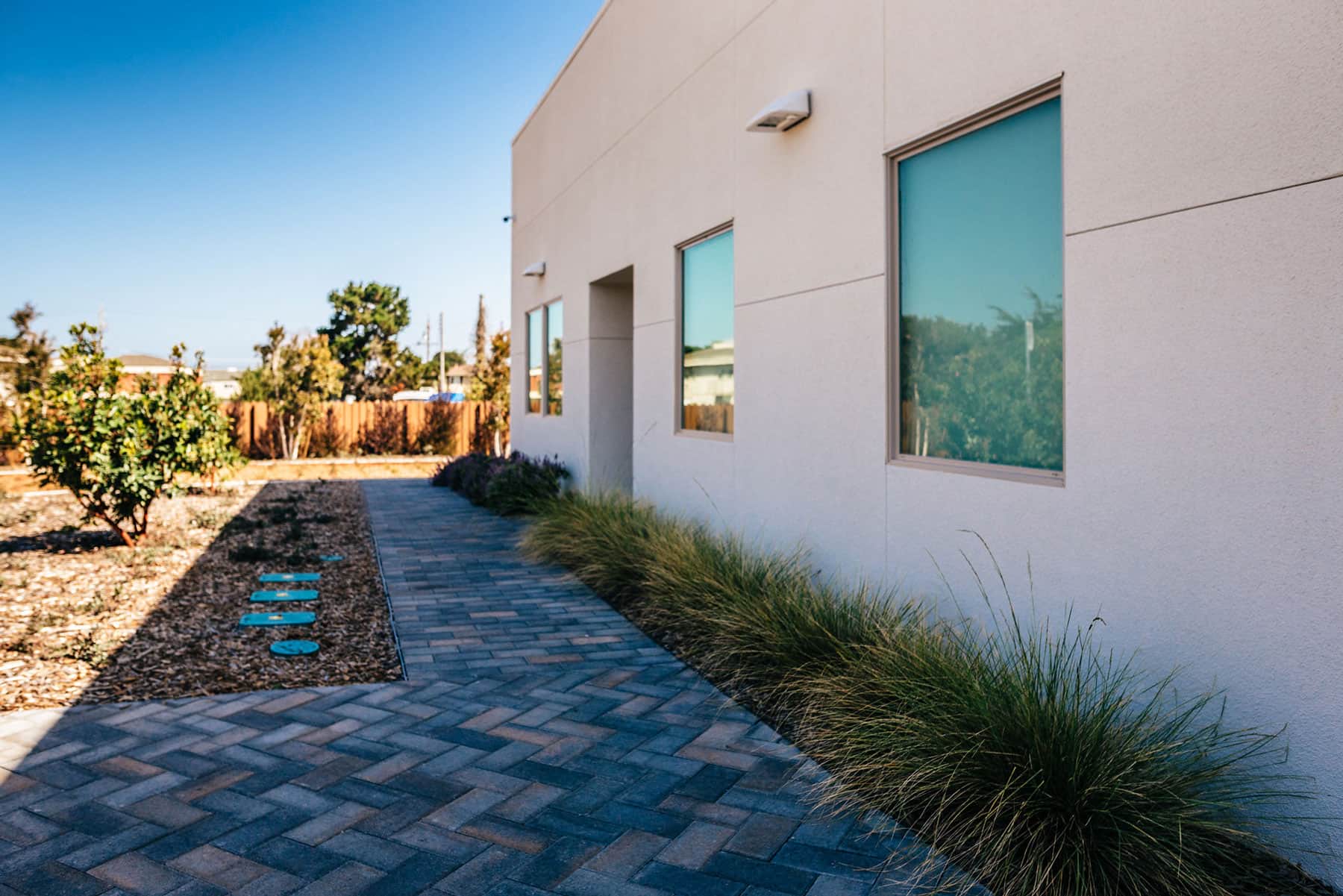 Purple flowering lavender and native plantings alongside commercial building with paved walkway installed by K&D Landscaping