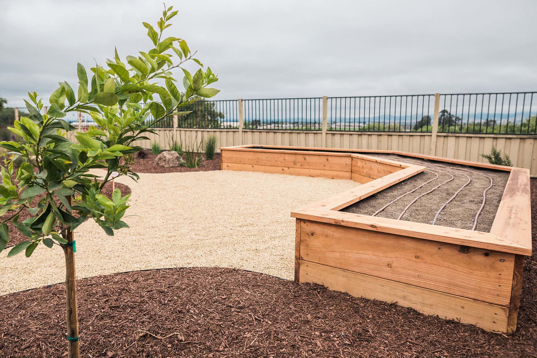 Raised planter beds with drip irrigation system, ornamental plantings, and hillside view in landscape construction by K&D Landscaping