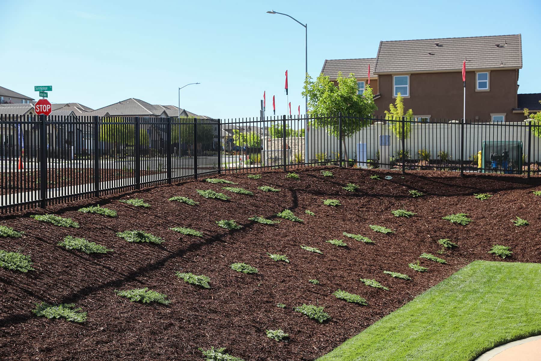 School campus with sod installation and outdoor gathering spaces by K&D Landscaping