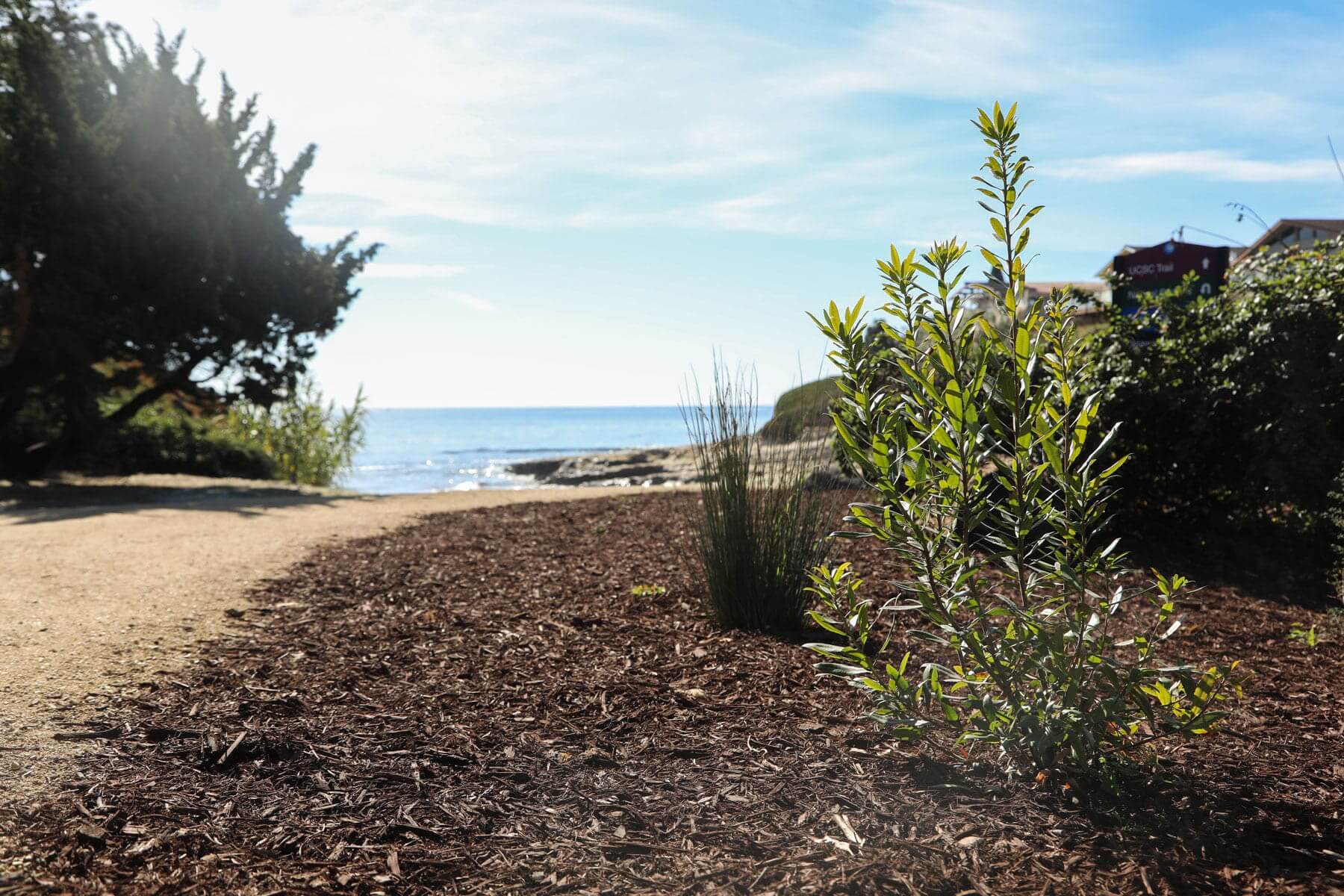 Landscape maintenance designed to support seasonal fire preparedness by K&D Landscaping