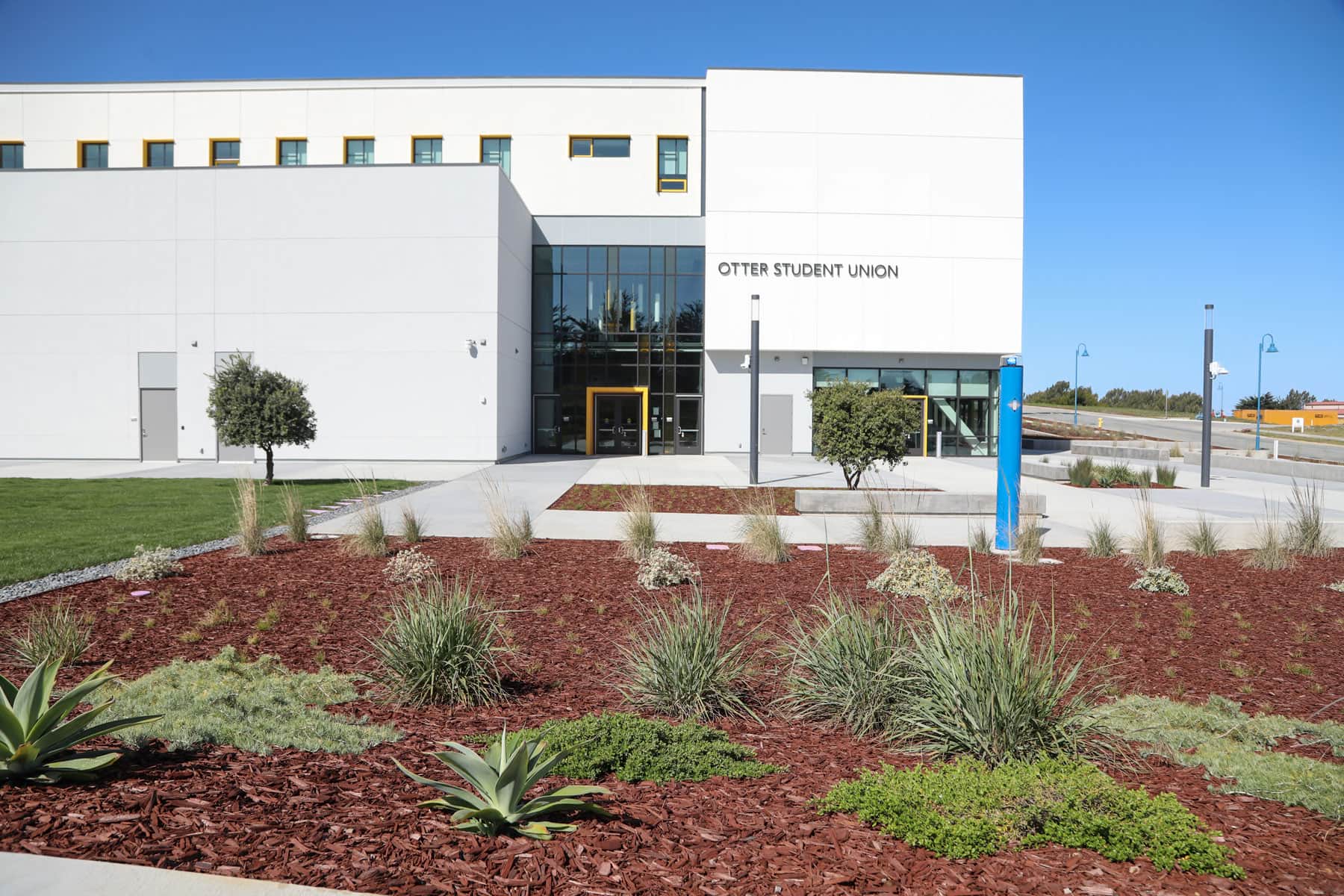 University walkway bordered by professionally installed planting beds by K&D Landscaping