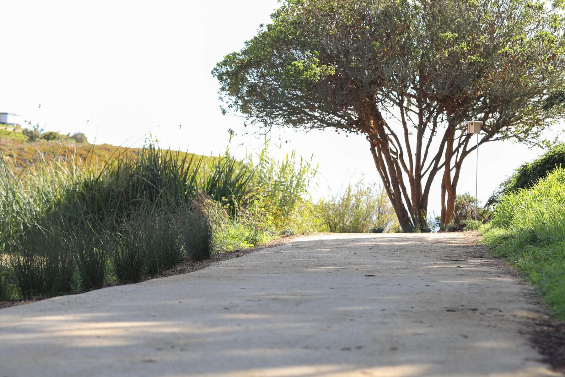 Walking path through landscaped community park by K&D Landscaping