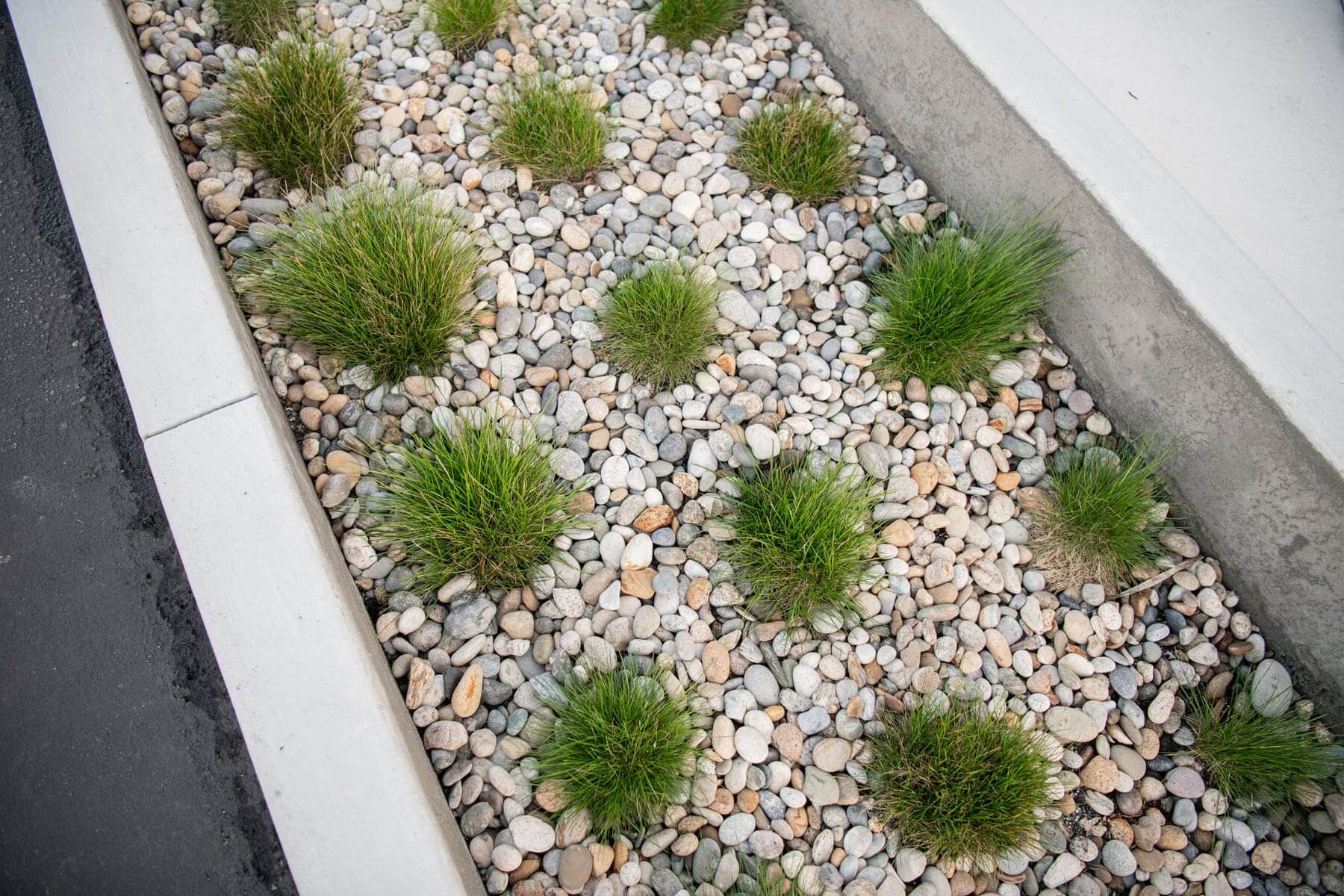 Waterfront commercial property with drainage-focused planting beds and landscape construction completed by K&D Landscaping