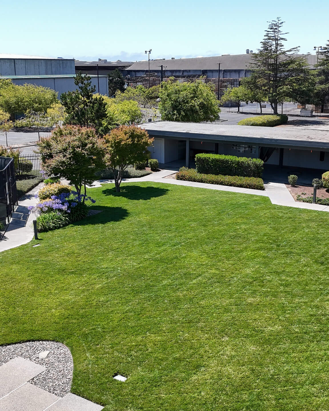 K&D Landscaping commercial lawn care services