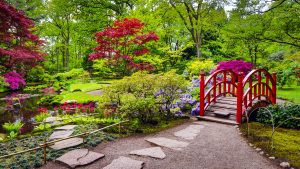 Traditional Japanese Garden Landscape