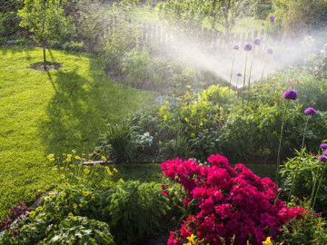 proper watering for garden
