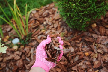 Woman with pink glove holding mulch to prevent soil erosion